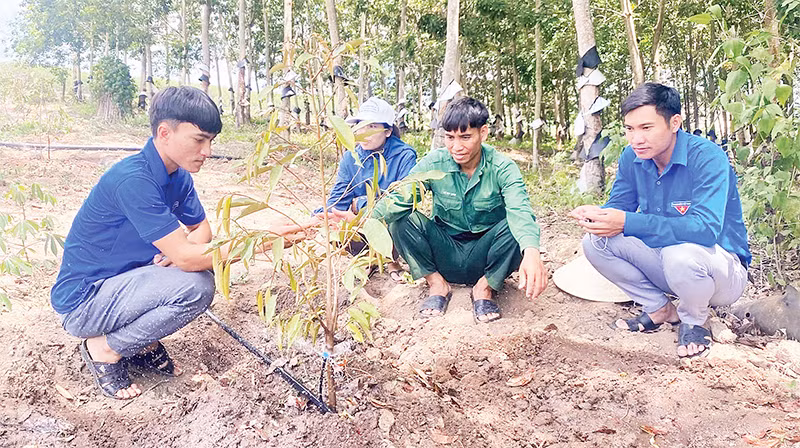 Huyện đoàn Sa Thầy hỗ trợ mô hình phát triển kinh tế cho đoàn viên, thanh niên dân tộc thiểu số.