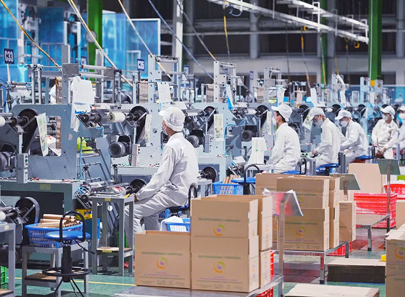 Dây chuyền sản xuất sản phẩm sinh học phân hủy hoàn toàn tại nhà máy của An Phát Holdings. (Ảnh ĐAN THANH)