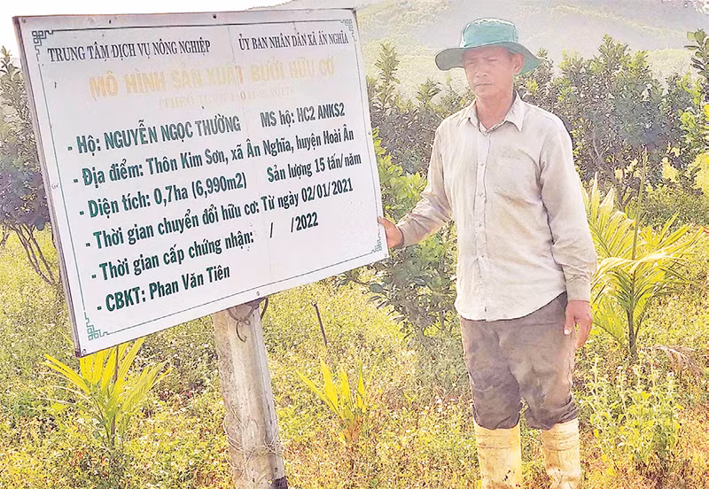 Anh Nguyễn Ngọc Thường đã làm thay đổi vùng đất này với mô hình sản xuất nông nghiệp hữu cơ.