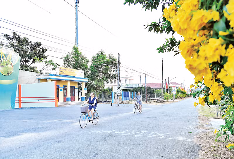 Hai bên đường làng Bạch Đằng là những hàng hoa rực rỡ được người dân chăm sóc hằng ngày. (Ảnh THỦY NGUYÊN) 