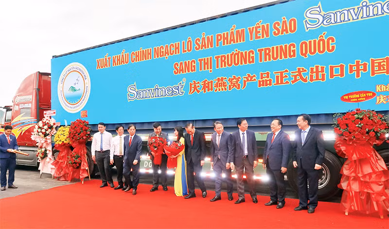 Công ty cổ phần Nước giải khát Yến sào Khánh Hòa Sanvinest xuất khẩu chính ngạch sản phẩm yến sào sang thị trường Trung Quốc.