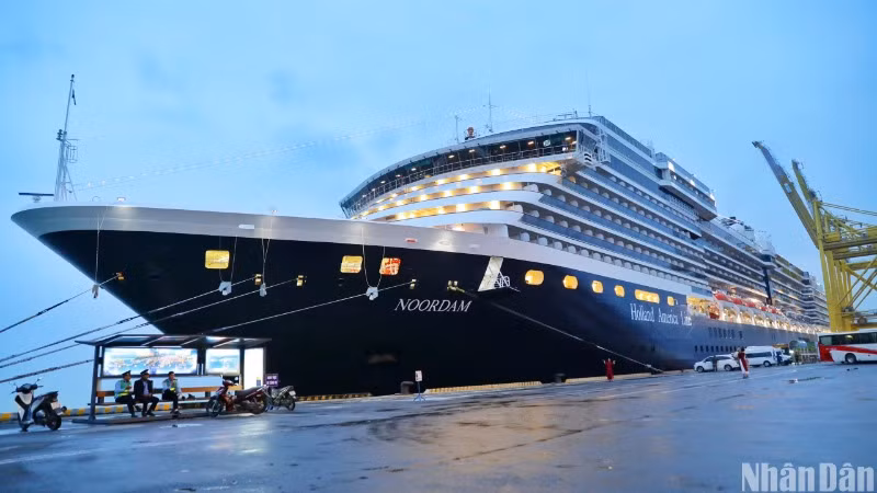 Siêu du thuyền Noordam đưa gần 2.000 du khách đến Đà Nẵng ngày đầu năm mới 2025. (Ảnh: ANH ĐÀO)