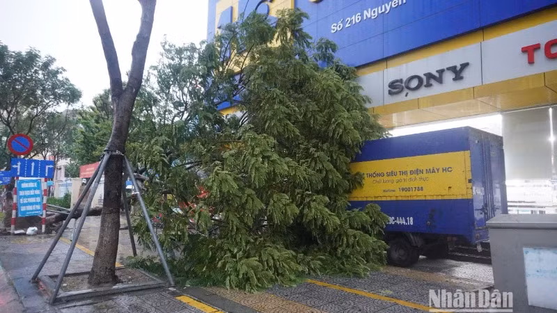 Tại Đà Nẵng mưa lớn và gió mạnh vào rạng sáng 27/10. (Ảnh: ANH ĐÀO)