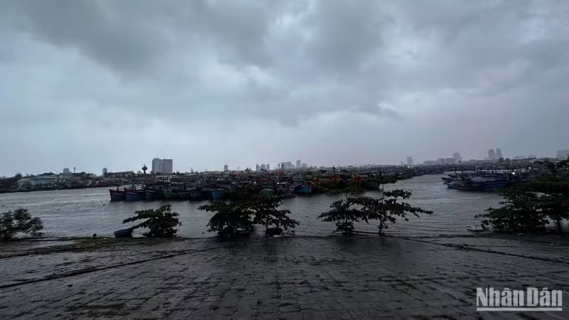 Mực nước dâng cao tại khu vực neo đậu tàu thuyền Âu thuyền Thọ Quang (Ảnh: ANH ĐÀO)