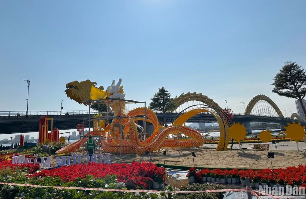 Chủ đạo là hình ảnh rồng dài 50m, nặng gần 1 tấn bằng chất liệu xốp. Đây là linh vật rồng chủ đạo trong 15 cụm trang trí hoa Tết ở thành phố Đà Nẵng. (Ảnh ANH ĐÀO)