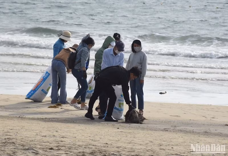 Nhiều đơn vị cùng tham gia dọn vệ sinh làm sạch bãi biển Đà Nẵng. Ảnh: ANH ĐÀO