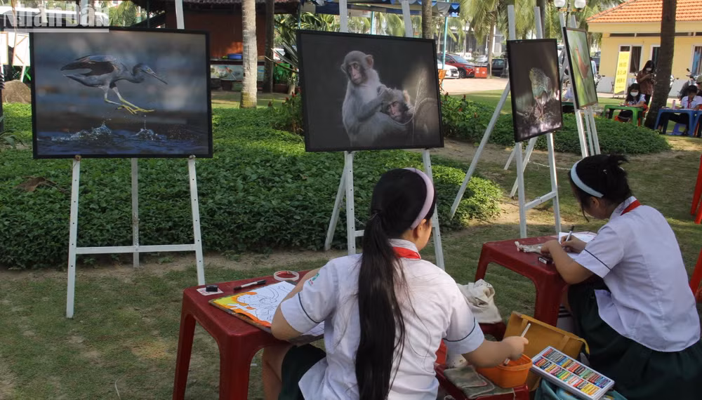 Mỗi học sỹ nhí sẽ gửi một thông điệp ý nghĩa bảo vệ sắc xanh trên Bán đảo Sơn Trà