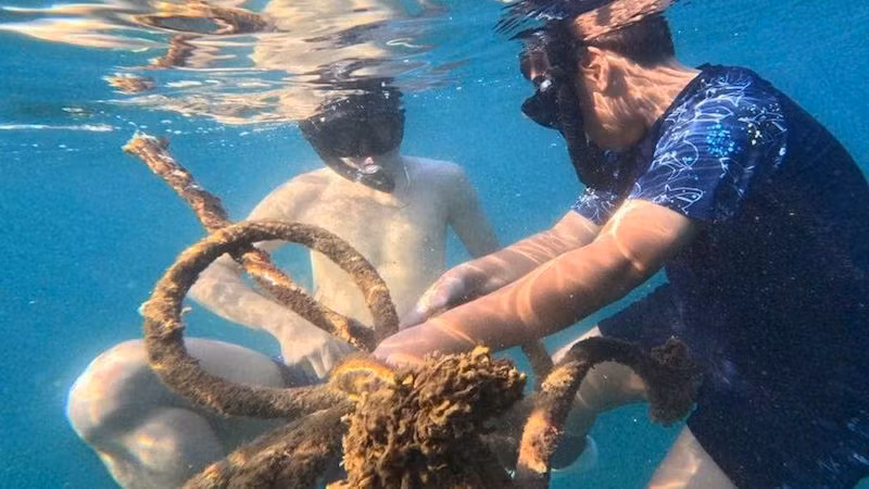 Các tình nguyện viên lặn biển, nhặt rác giải cứu san hô. (Ảnh: Đào Đặng Công Trung)