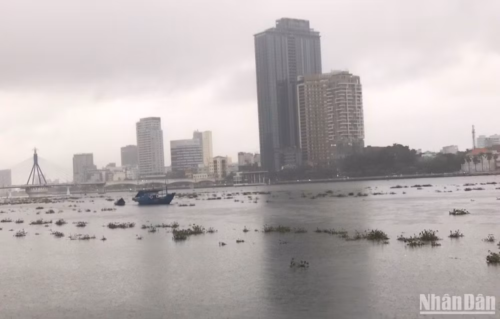 Mực nước sông Hàn dâng cao.