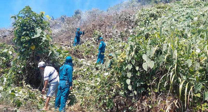 Lực lượng chức năng thành phố Đà Nẵng kịp thời khống chế vụ cháy rừng tại đèo Hải Vân. (Ảnh: CTV) 