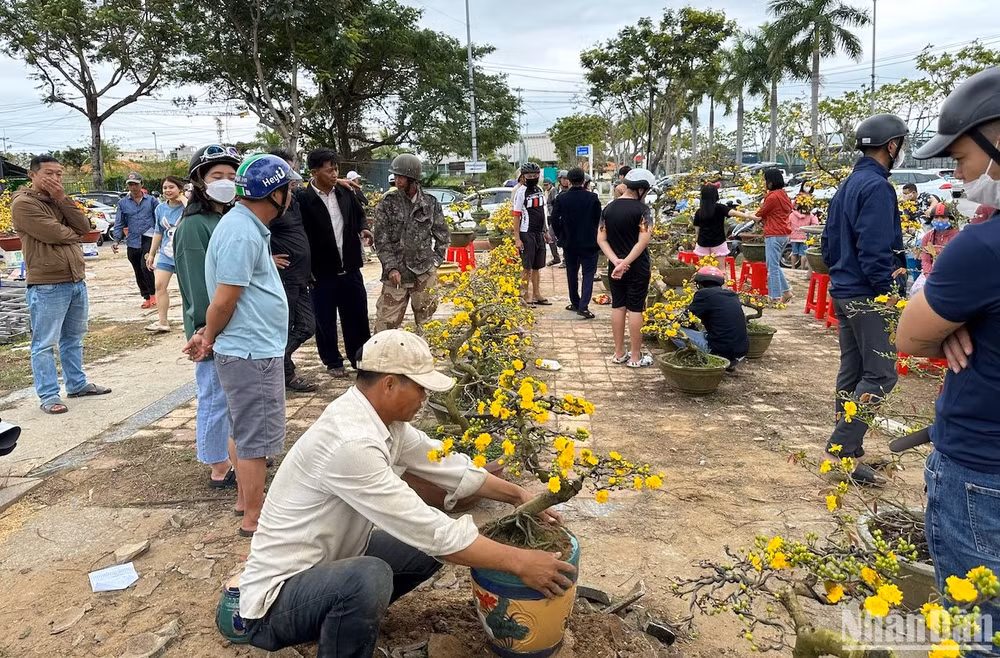 Chợ hoa Tết Đà Nẵng trưa 30 Tết... (Ảnh: ANH ĐÀO)