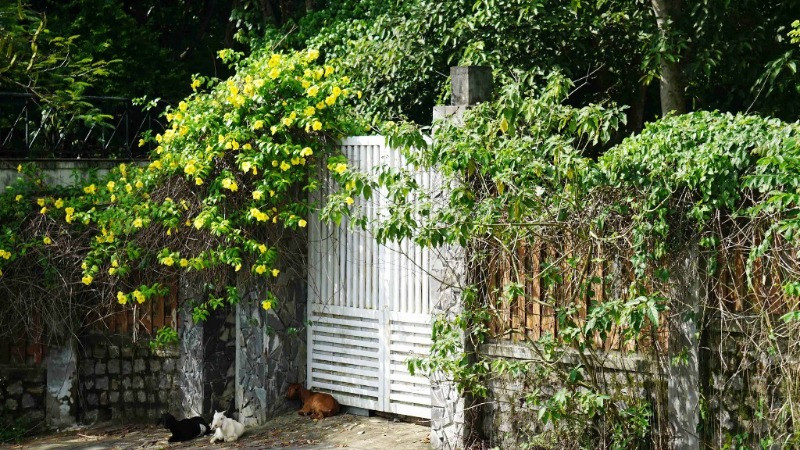 Đà Nẵng thu hồi 7.413m2 của thửa đất số 09 khu biệt thự Suối Đá - Sơn Trà. 