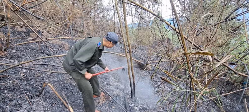 Diện tích rừng bị cháy khoảng 2.000m2, là rừng tự nhiên, lau lách. (Ảnh G.H)