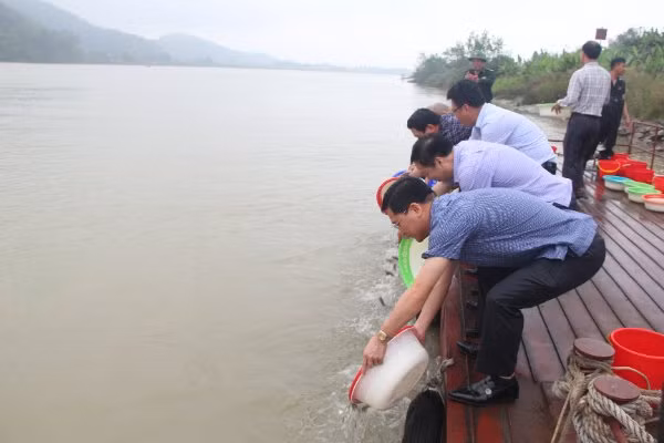 Cán bộ, nhân dân Thanh Hóa thả cá xuống sông Mã.