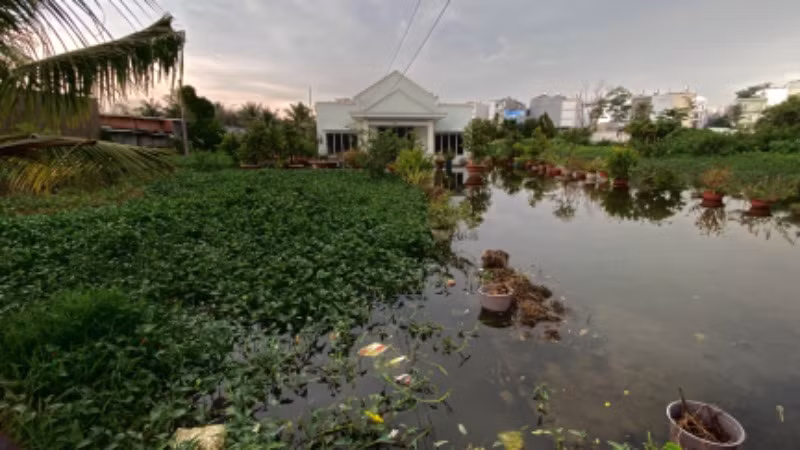 Chiều 12/5, nước mưa còn đọng trong sân ngôi nhà ở hẻm 789, phường Tam Bình, Thành phố Thủ Đức.