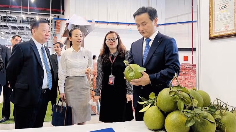 Lãnh đạo tỉnh Yamaguchi và lãnh đạo Tổng Công ty Becamex IDC tham quan gian hàng triển lãm sản phẩm OCOP tỉnh Bình Dương.