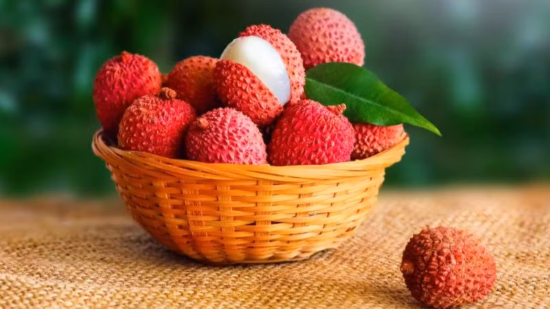Quả vải Việt Nam đã tiếp cận 7 thị trường quốc tế tại châu Âu (Anh, Pháp, Đức) và châu Á (Nhật Bản, Malaysia, Lào, Campuchia).