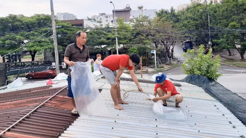 Các tình nguyện viên giúp các gia đình chằng chống nhà cửa.