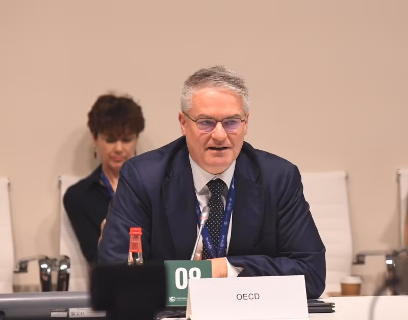 Đại diện Tổ chức OECD phát biểu.