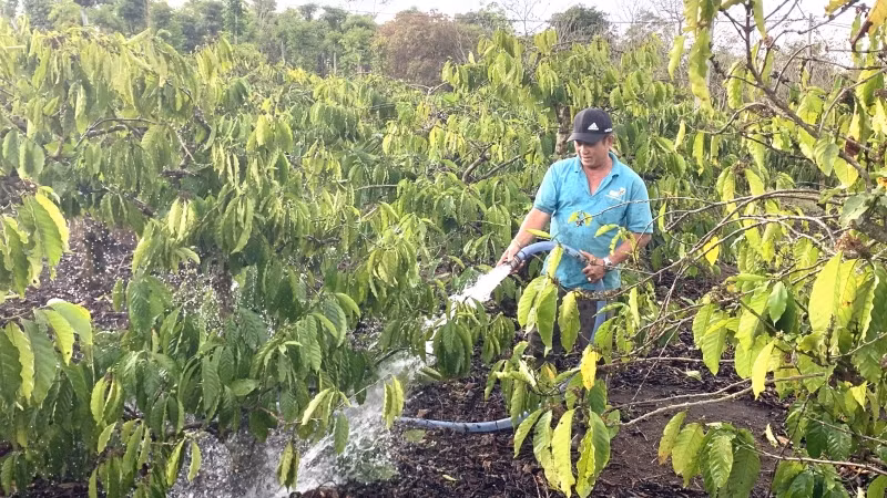 Lễ hội là dịp để tôn vinh người trồng, chế biến và kinh doanh cà-phê.