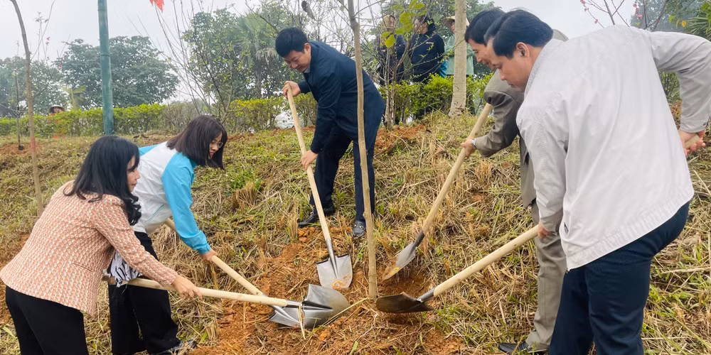 Nhiều loại cây cũng được Hội Liên hiệp phụ nữ tỉnh Phú Thọ phát động trồng tại Khu di tích lịch sử Đền Hùng.