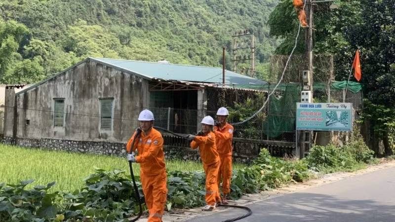Công ty Điện lực Thái Nguyên sửa chữa, thay thế đường dây khi không bảo đảm cấp điện an toàn, ổn định.
