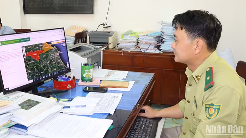 Cán bộ kiểm lâm Quảng Ngãi túc trực giám sát cảnh báo cháy rừng từ vệ tinh.