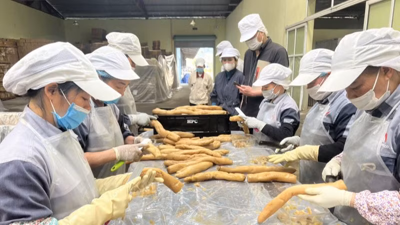 Thời gian qua, nhiều nhà đầu tư đã đến tìm hiểu và đầu tư tại Bắc Kạn. (Trong ảnh: Chế biến nông sản xuất khẩu tại Công ty Trách nhiệm hữu hạn Việt Nam Misaki). (Ảnh: TUẤN SƠN)