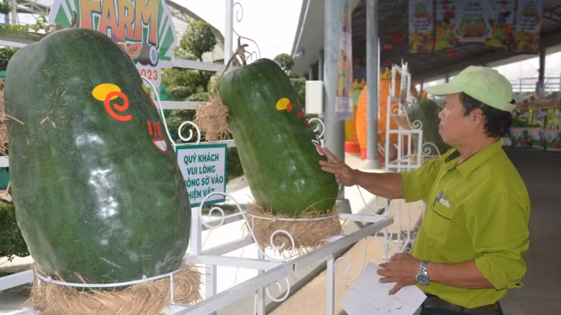 Bộ sưu tập trái cây khổng lồ tại Lễ hội trái cây Nam Bộ 2023.