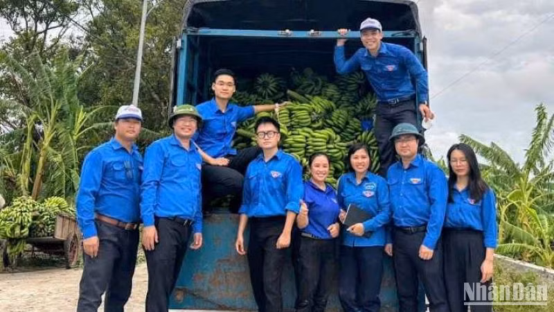 Tỉnh đoàn Thái Bình cùng Hội Liên hiệp thanh niên tỉnh phát động chương trình "Chung tay hỗ trợ tiêu thụ chuối xanh" cho bà con xã Hồng An.
