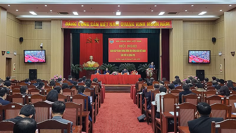 Cả nước có gần 4 triệu hộ nông dân sản xuất, kinh doanh giỏi