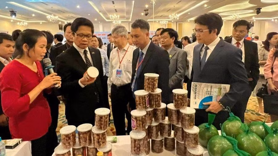 Các đại biểu tham quan sản phẩm của các doanh nghiệp tỉnh Bến Tre và thành phố Thủ Đức.