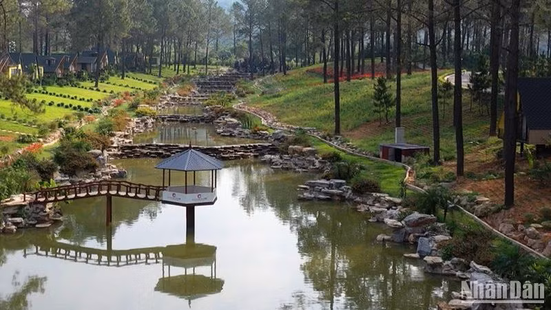 Việc ứng dụng công nghệ sẽ giúp huyện Mộc Châu dễ dàng kiểm soát các hoạt động kinh doanh trên địa bàn.