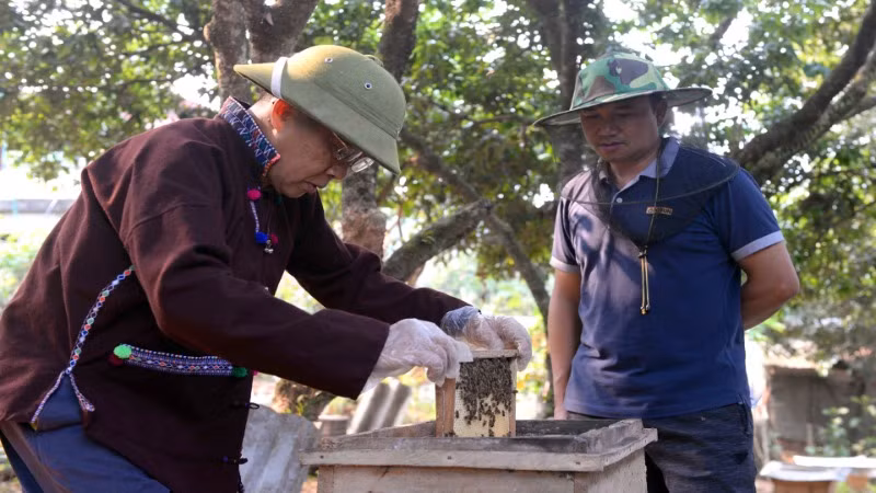 Mô hình nuôi ong lấy mật mang lại thu nhập ổn định cho gia đình ông Tao Văn Kẻo.
