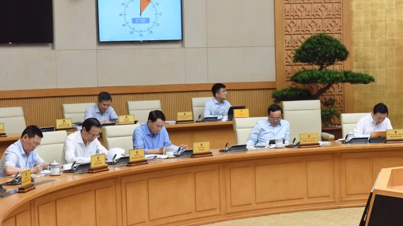 Các đại biểu tham dự Hội nghị.