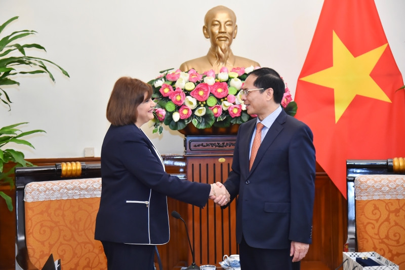Bộ trưởng Ngoại giao Bùi Thanh Sơn tiếp bà Amal Abdel Kader Elmorsi Salama, Đại sứ Cộng hòa Ả-rập Ai Cập.