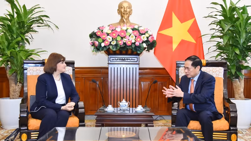 Bộ trưởng Ngoại giao Bùi Thanh Sơn tiếp bà Amal Abdel Kader Elmorsi Salama, Đại sứ Cộng hòa Ả-rập Ai Cập.