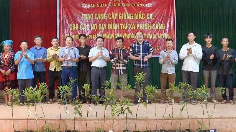 Các đồng chí lãnh đạo huyện Tuần Giáo trao cây mắc-ca giống tặng các gia đình đồng bào dân tộc thiểu số ở xã Phình Sáng, huyện Tuần Giáo.