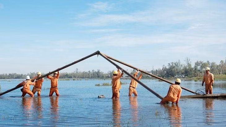 Huy động lực lượng, phương tiện tập trung khắc phục sự cố lưới điện.