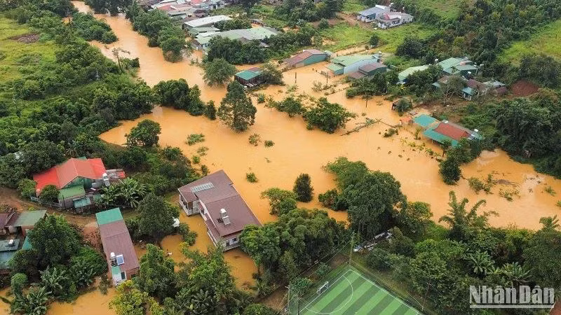 Nước lũ nhấn chìm nhiều nhà dân tại lưu vực suối Đắk Nông, thành phố Gia Nghĩa, tỉnh Đắk Nông. Nước lũ nhấn chìm nhiều nhà dân tại lưu vực suối Đắk Nông, thành phố Gia Nghĩa, tỉnh Đắk Nông.