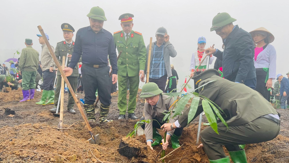 Đồng chí Đỗ Đức Duy, Ủy viên Trung ương, Bí thư Tỉnh ủy Yên Bái tham gia trồng tre măng Bát Độ. (Ảnh THANH SƠN)