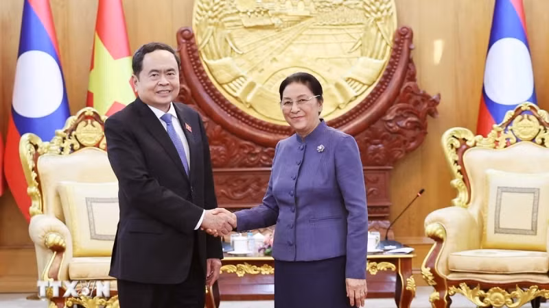 Chủ tịch Quốc hội Trần Thanh Mẫn gặp Phó Chủ tịch nước CHDCND Lào Pany Yathotou. (Ảnh: Thống Nhất/TTXVN)