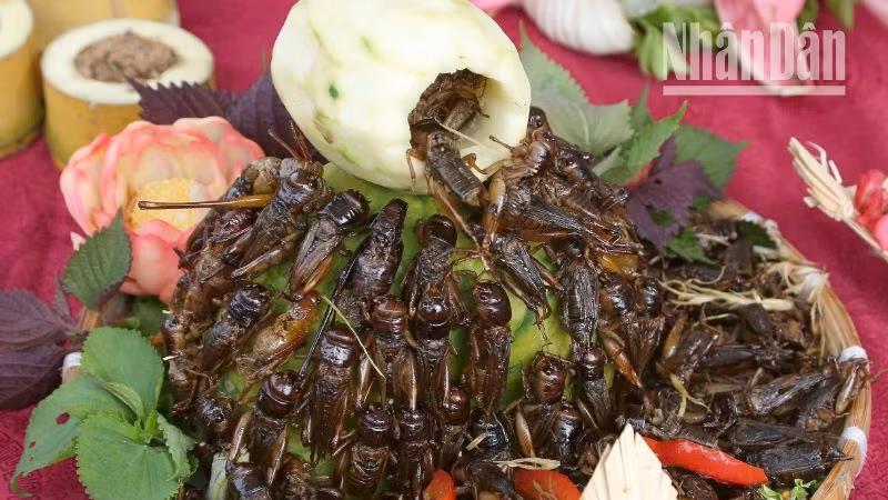 Độc đáo mâm cỗ dịp “Tết Xíp xí” của người Thái trắng Sơn La ảnh 8