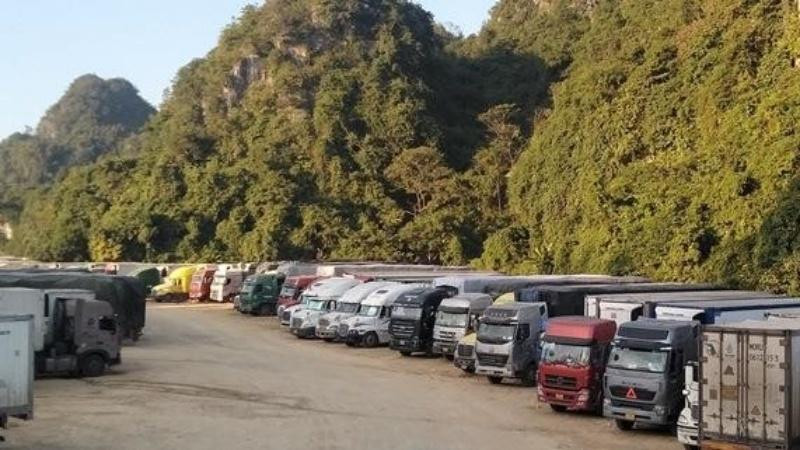 Hàng nghìn xe chở nông sản vẫn đang ùn ứ ở cửa khẩu Tân Thanh, Văn Lãng (Lạng Sơn). (Ảnh minh họa)