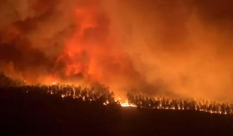 Hình ảnh vụ cháy rừng. (Nguồn: Reuters)