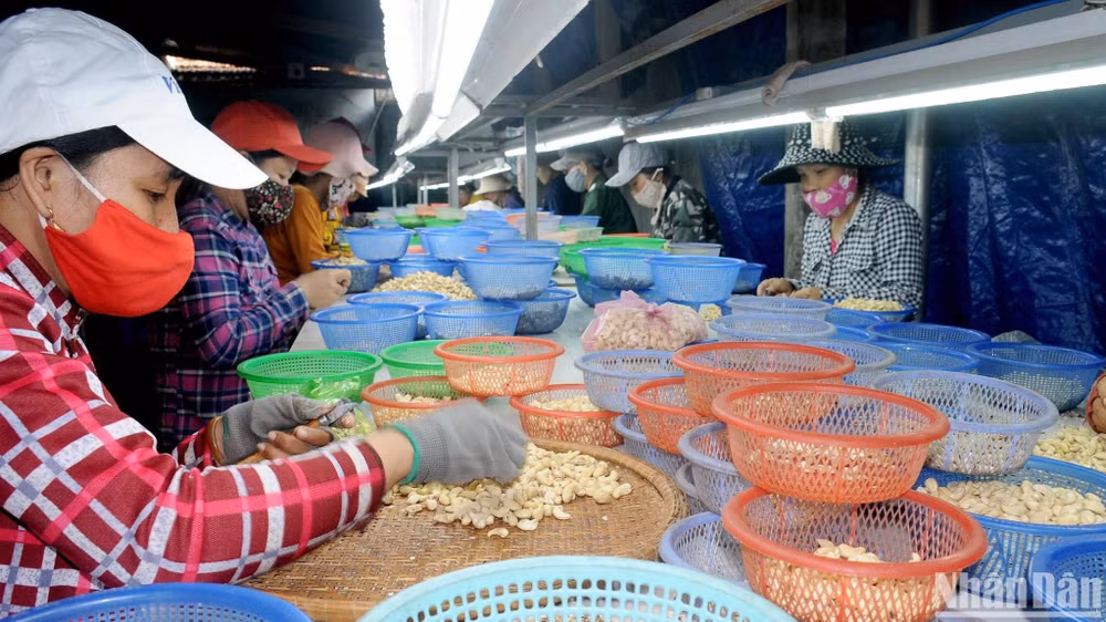 Chương trình xây dựng nông thôn mới gắn với xây dựng sản phẩm OCOP, đến nay toàn tỉnh Phú Yên có 253 sản phẩm OCOP.