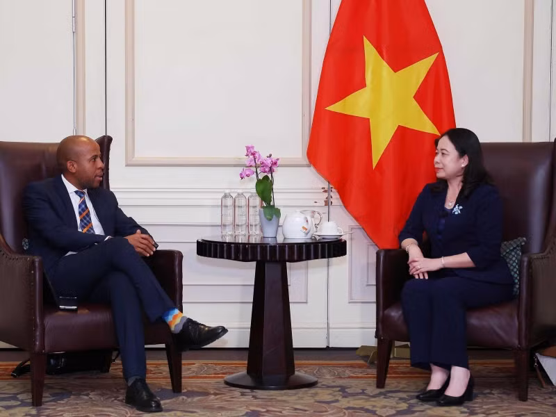 Phó Chủ tịch nước Võ Thị Ánh Xuân gặp gỡ đại diện doanh nghiệp Nam Phi.