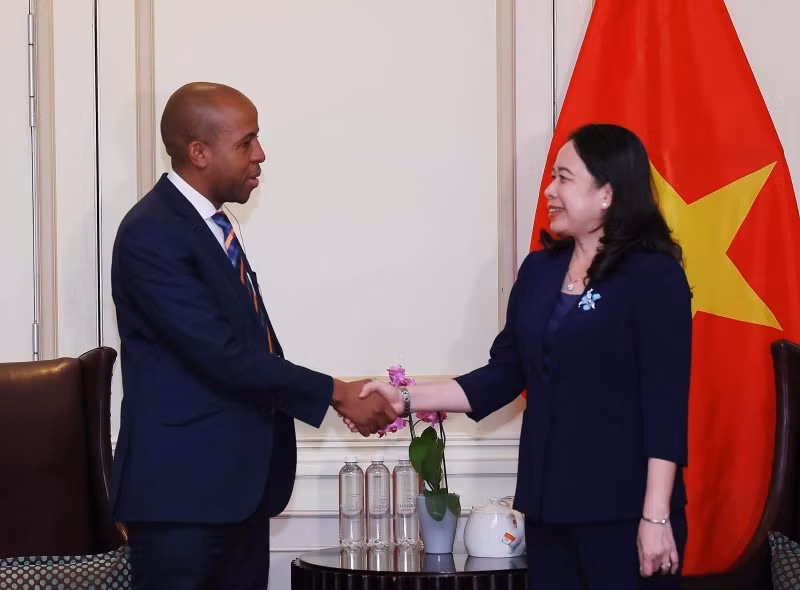 Phó Chủ tịch nước Võ Thị Ánh Xuân gặp gỡ doanh nghiệp Nam Phi.