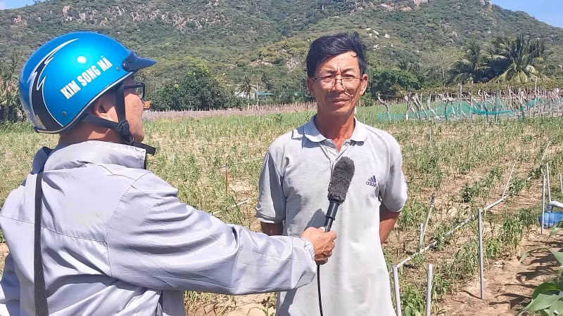 Phóng viên Báo Nhân Dân phỏng vấn ông Nguyễn Hàn, Trưởng thôn Thái An tại khu vực trồng tỏi của người dân.