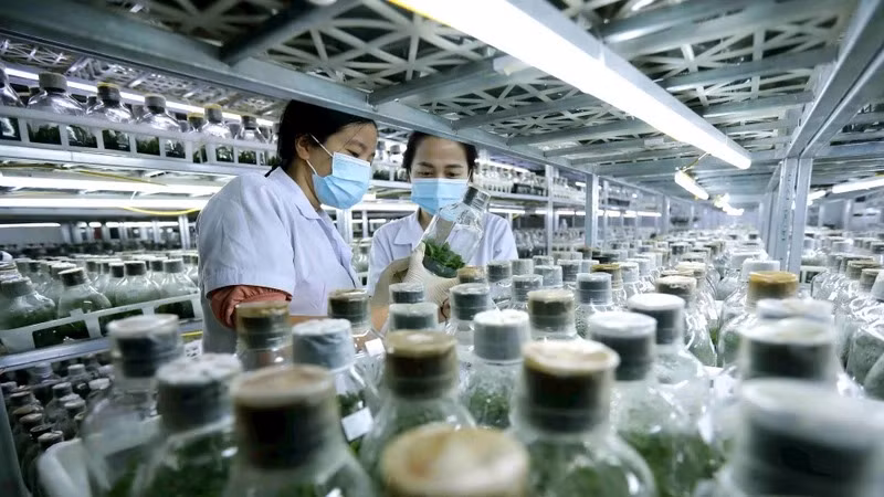 Nhiều viện nghiên cứu đang thiếu hụt nguồn nhân lực kế cận tài năng. (Ảnh: VŨ SINH/Báo Nhân Dân)